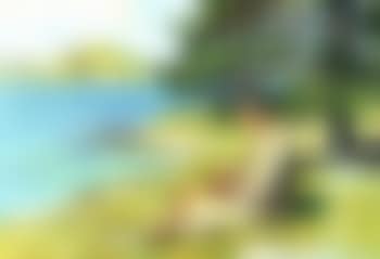 Summer leisure (preview)