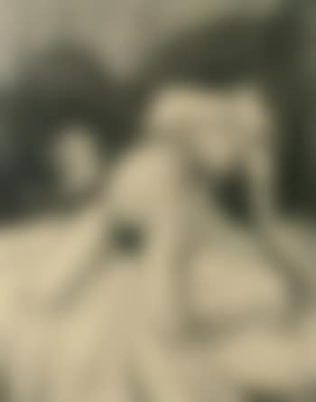 The exotic dancer (preview)