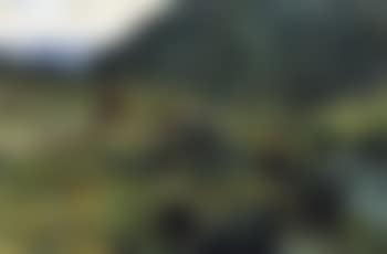 From Boverdalen (preview)