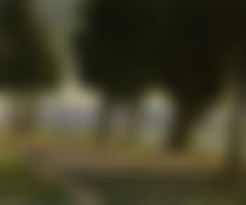 Gaino (preview)