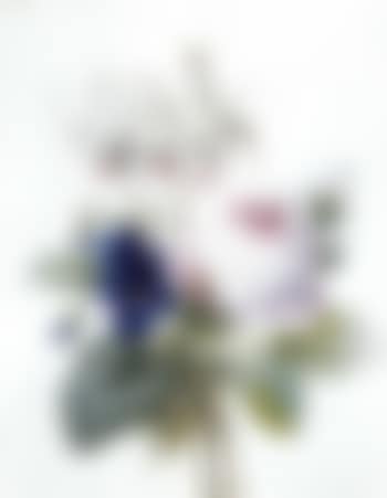 Bouquet de pensees et de roses (preview)