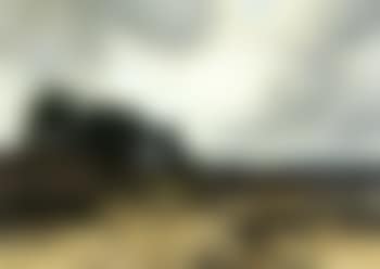 View of Campine with man walking his dog (preview)