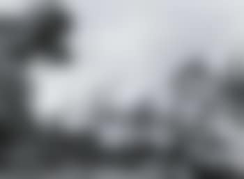Port anime de personnages (preview)