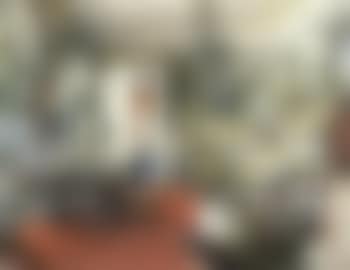 Boudoir de la Duchesse Elisabeth Fedrovna (preview)