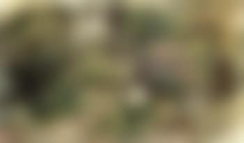Paysage sous bois (preview)