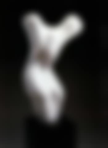 Torse des Pyrenees (preview)