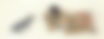 Tahitian woman with pig (preview)