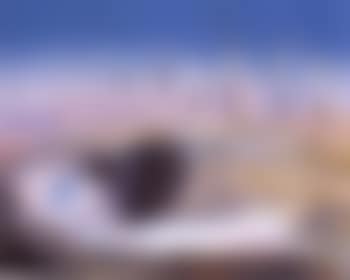 Bride in a landscape (preview)