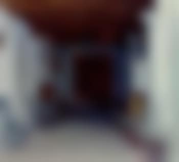 Southern hallway with potted plants and bust on pedestal (preview)