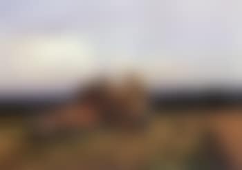 Harvesting (preview)