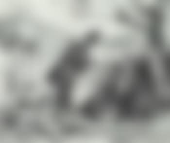 Dog seller (preview)