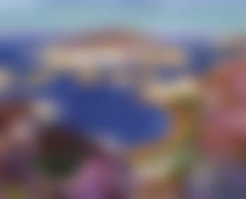 Summer flowers in bay, Koster (preview)