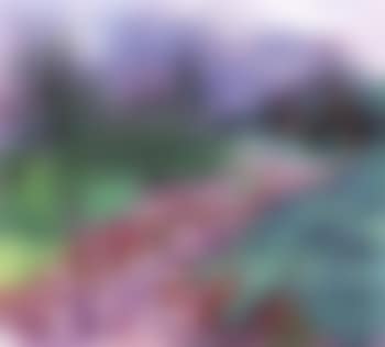 Heather covered wooded landscape (preview)