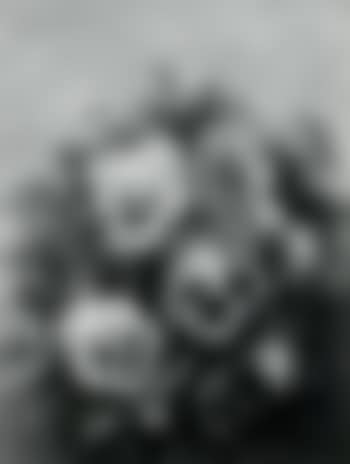 Still life of pansies (preview)