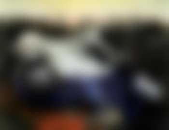 Dreaming bridegroom I (preview)