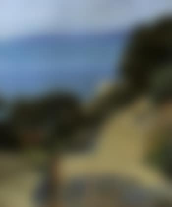 Garden (preview)