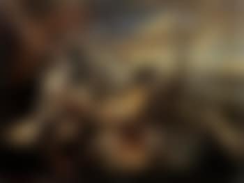 Various river birds and landscape beyond (preview)