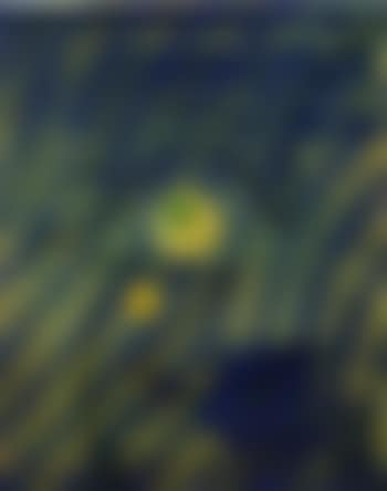 Oiseau sur fond bleu et jaune (preview)