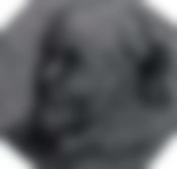 Head of bearded man looking up to left (preview)