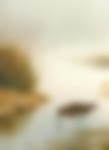 Snipe (preview)