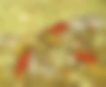 Yellow landscape (preview)