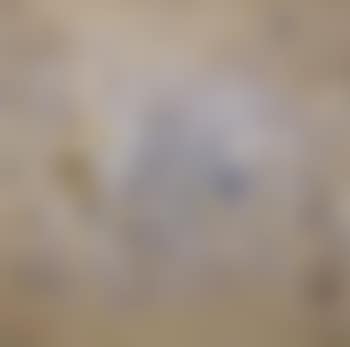 White painting II (preview)