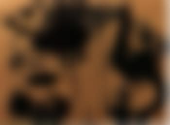 Animals (preview)