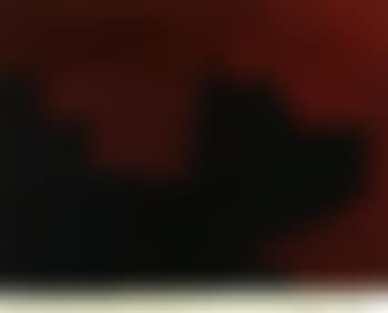 Le-de-vin at bleue (preview)