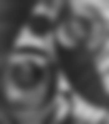 Vortice (preview)
