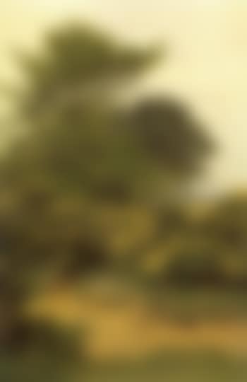 On the edge of Shere Heath (preview)