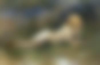 Bergere nue couchee (preview)