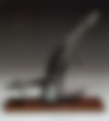 Piccolo miracolo (preview)