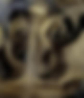 Anti-protonic assumption (preview)