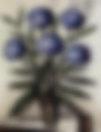 Les hortensias bleues (preview)