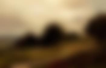 Sheep on a hillside (preview)