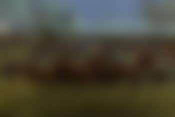 Tattenham Corner, Epsom (preview)
