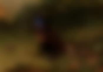Cock and hen pheasant among gorse (preview)