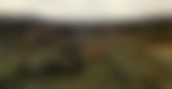 Loading the harvest (preview)