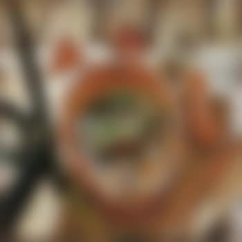 Still life with terracotta pot and bulb (preview)