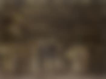 Evening, Central Park, Marines in Central Park (preview)