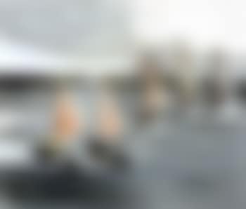 Sailing boats (preview)