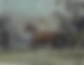Arturo von Schroeders on a polo pony in a landscape (preview)
