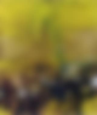 Composition (preview)