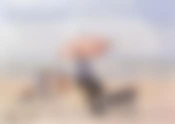 Le parasol rose, Trouville (preview)