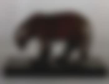 L'ours brun (preview)