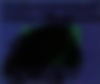 Storm (preview)