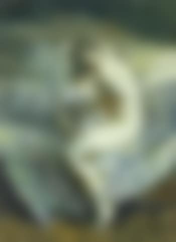 Seated model (preview)