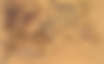 Two horses in a landscape (preview)