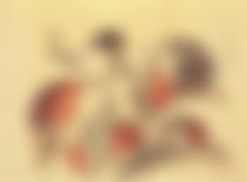 Standing female nude with rabbit (preview)