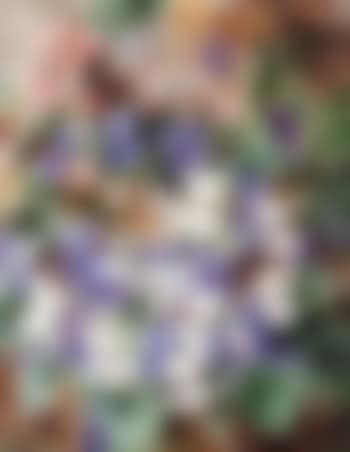 Wild violets (preview)